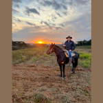 Do parto aos primeiros cuidados com o potro: entenda os pontos essenciais da criação de éguas e potros, com Altevir Seidel.