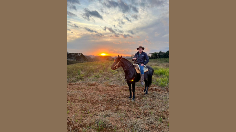 Do parto aos primeiros cuidados com o potro: entenda os pontos essenciais da criação de éguas e potros, com Altevir Seidel.