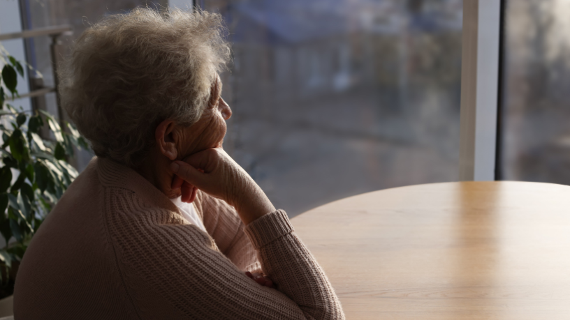 Sindnapi - Sindicato Nacional dos Aposentados, Pensionistas e Idosos