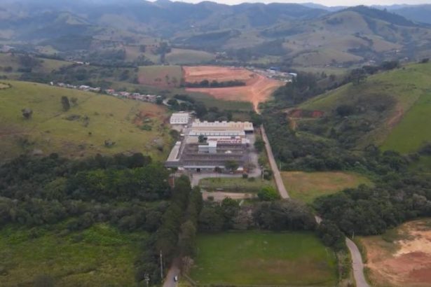 Família Shih